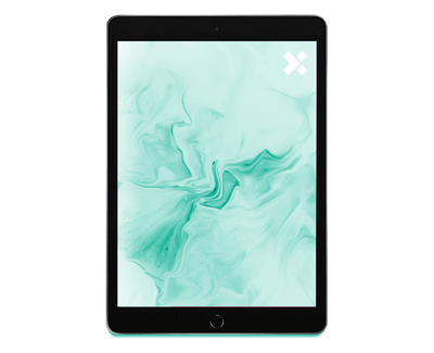 APPLE iPad 8 Refurbished | 32GB WIFI+LTE | 10.2 inch | 12M Garantie