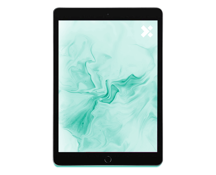 APPLE iPad 8 Refurbished | 32GB WIFI+LTE | 10.2 inch | 12M Garantie